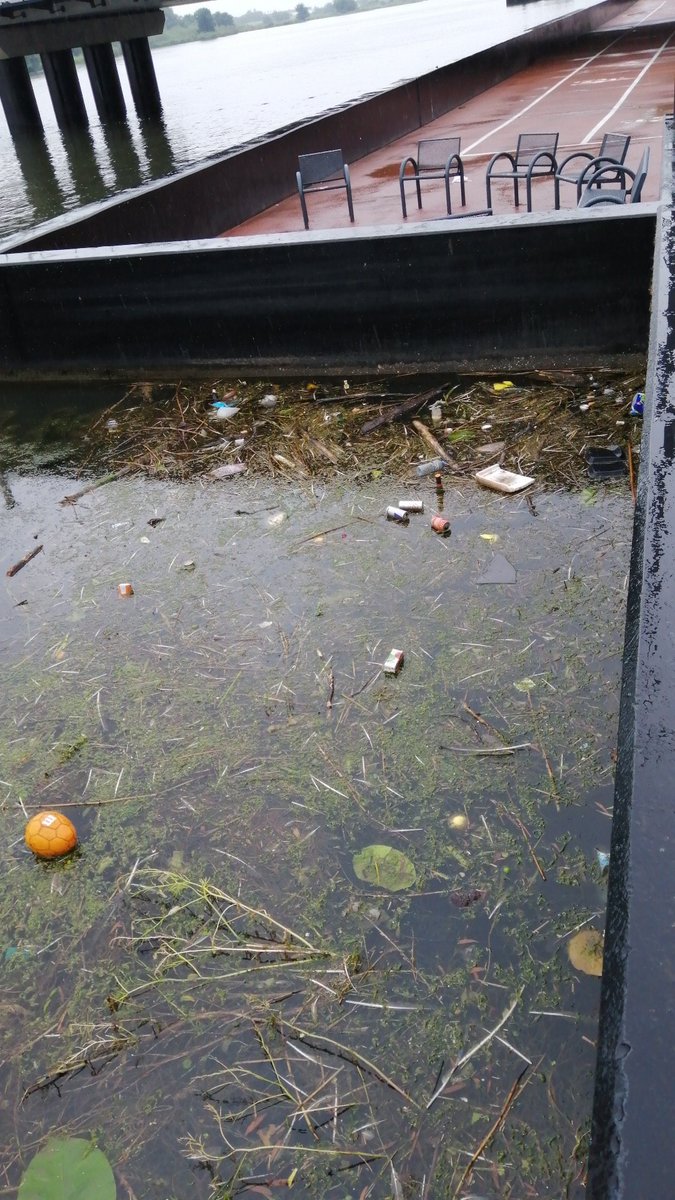 Toeristen maken er dagelijks foto's van, geen beste reclame. Ondanks eerdere melding helaas nog niet opgeruimd <a href="/gemKampen/">Gemeente Kampen</a> <a href="/RWS_NN/">Rijkswaterstaat Noord-Nederland</a> #stankoverlast #dodebever