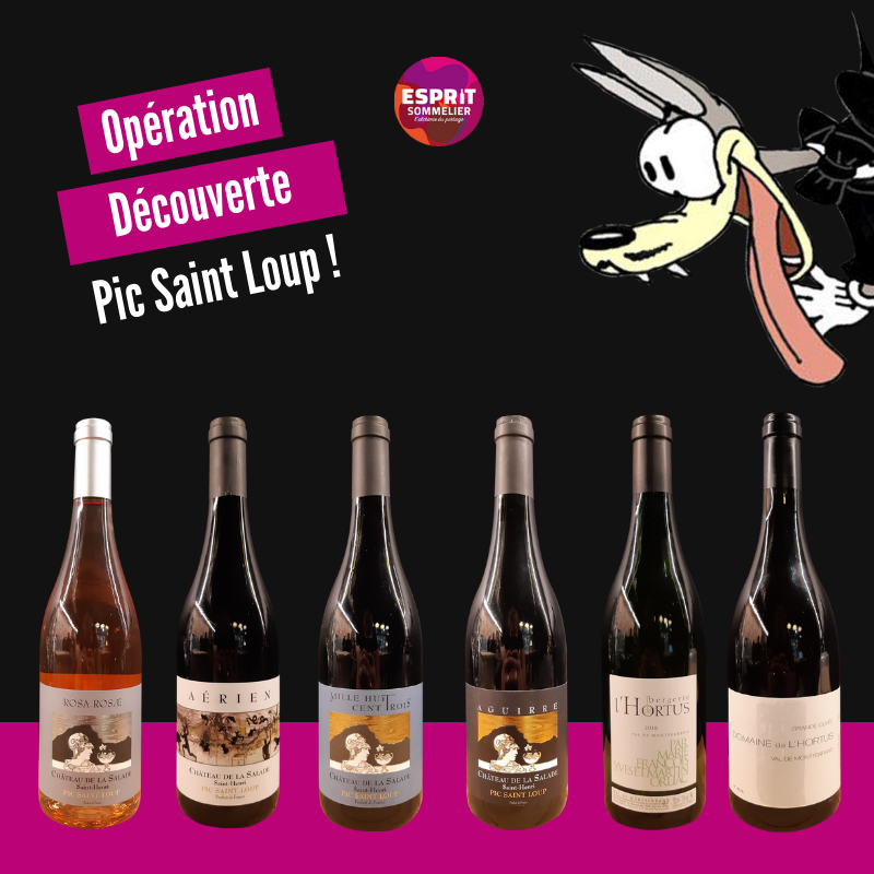 EspritSommelier's tweet photo. Avec ces beaux jours qui arrivent, nous avions envie de vous faire (re)découvrir des vins de Languedoc frais et fruités, structurés et gouleyants !
La région Pic St Loup, avec deux sommets que sont le pic de l'Hortus et le Pic St Loup, s'y prête à merveille ! https://t.co/DPLQOlmzcK