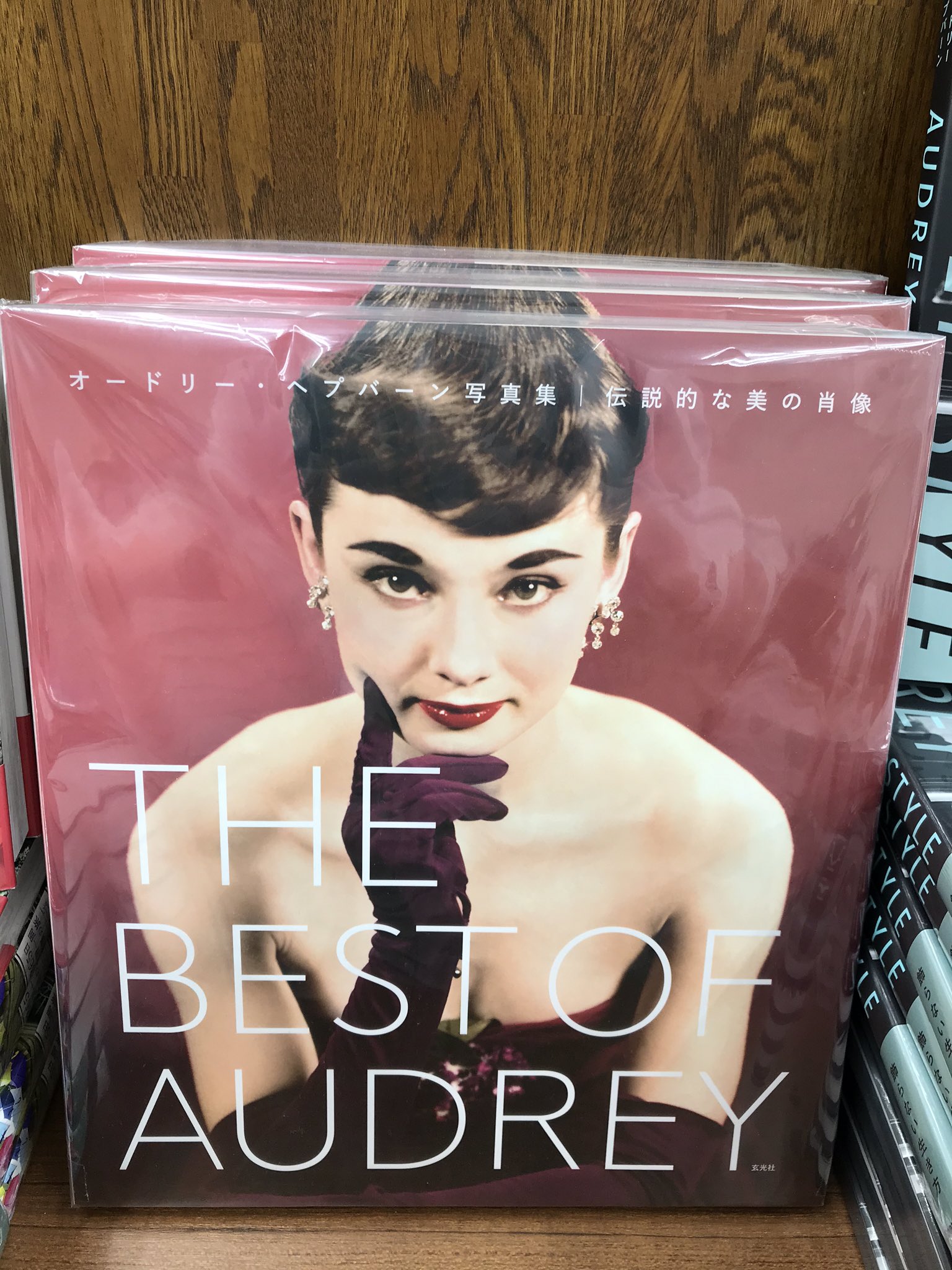 THE BEST OF AUDREY オードリー・ヘプバーン写真集 伝説的な美の肖像