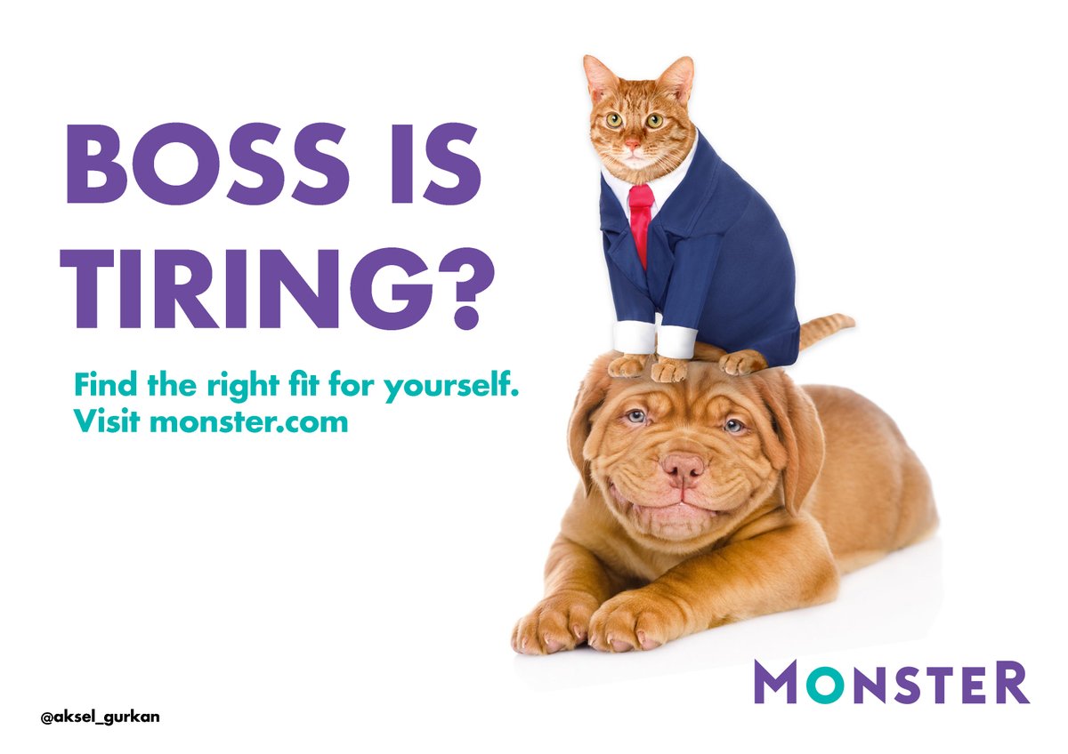 aksel_gurkan's tweet photo. The Right Fit. @_SmartCat and @PupSmiling @OneMinuteBriefs So, today's One Minute Brief is to create posters for ANYTHING that features both in the same ad! Give them a follow and let's have some fun! #CatPupChallenge @Monster #MonsterJob #JobSearch #joboffer https://t.co/YKsfONW4S9