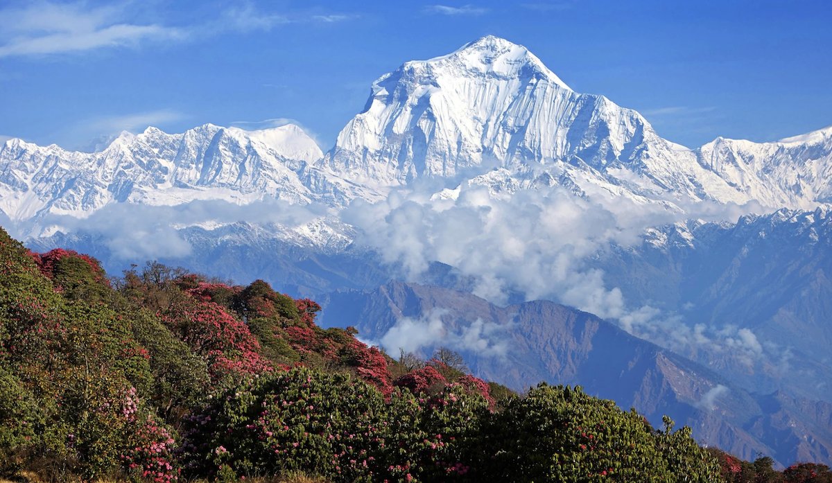 ecopodpackaging's tweet photo. India has seen a significant drop in its #pollution levels. So much so that people living in northern India can now see the snowy caps of the #Himalaya mountain range from over 200km away - a view that has been hidden by pollution for over 30 years! https://t.co/jd90k8lNHs