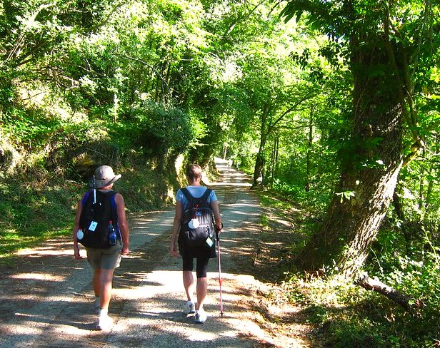 ¿Os imagináis unas vacaciones de verano así? Summer in Galicia is Green.

#caminoANDenglish #Turgalicia #Galicia #EsteVeranoHagoElCamino #EspañaTeEspera #CaminodeSantiago #Verano2020 #QuedamosenGalicia #galiciamola <a href="/tjparfitt/">Tim Parfitt</a> <a href="/erikras/">Erik Rasmussen 👨‍💻🇺🇸🇪🇸</a> <a href="/GlobalSpain/">Global Spain</a>
