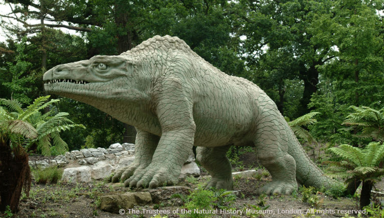 Dr Adam Rutherford tweet media