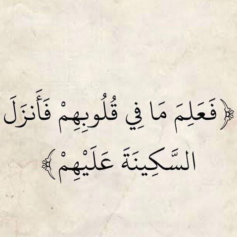 bahaa shaban (@bshaban62) on Twitter photo 