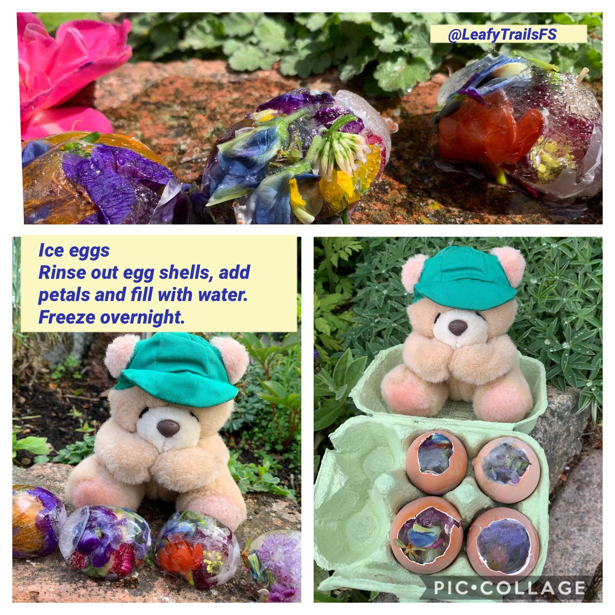 Wee Ted challenge- make ice eggs #ice #scientificinvestigations #flowers #nature #science #STEM2020 #PlayfulNature #statesofmatter #becurious #StemNation #STEMSkills #watercycle @STEMLearningUK @STEMedscot @STEMAmbassadors @365DaysWild @30DaysWild