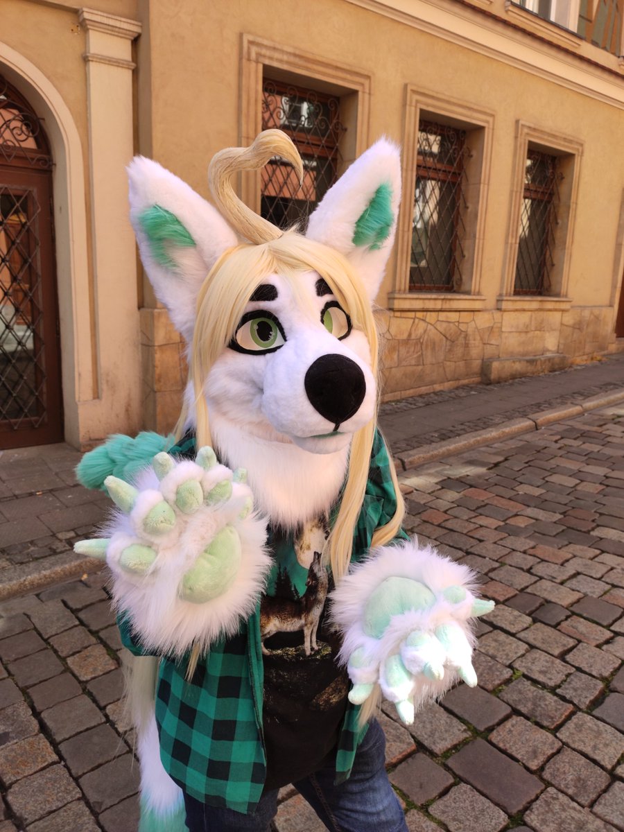 FurryArrows's tweet photo. ❗️Meow there ❗️
Meet MoonLight, our latest #craft❤
This #minipartial #fursuit features:
❤️ 110 cm long synthetic hair + magnetic ahoge
🧡 moving jaw
💛 5 finger, 3d pads paws
💚 wings
💙 decent vision &amp; ventilation 
*Matrices',Mugiwara's &amp; Kloofsuit's patterns were helpful here* https://t.co/yATv84qymQ