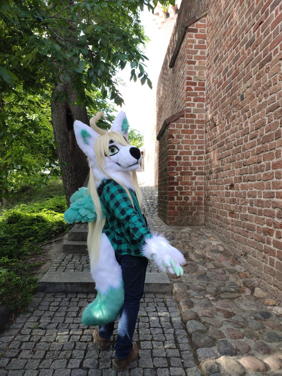 FurryArrows's tweet photo. ❗️Meow there ❗️
Meet MoonLight, our latest #craft❤
This #minipartial #fursuit features:
❤️ 110 cm long synthetic hair + magnetic ahoge
🧡 moving jaw
💛 5 finger, 3d pads paws
💚 wings
💙 decent vision &amp; ventilation 
*Matrices',Mugiwara's &amp; Kloofsuit's patterns were helpful here* https://t.co/yATv84qymQ