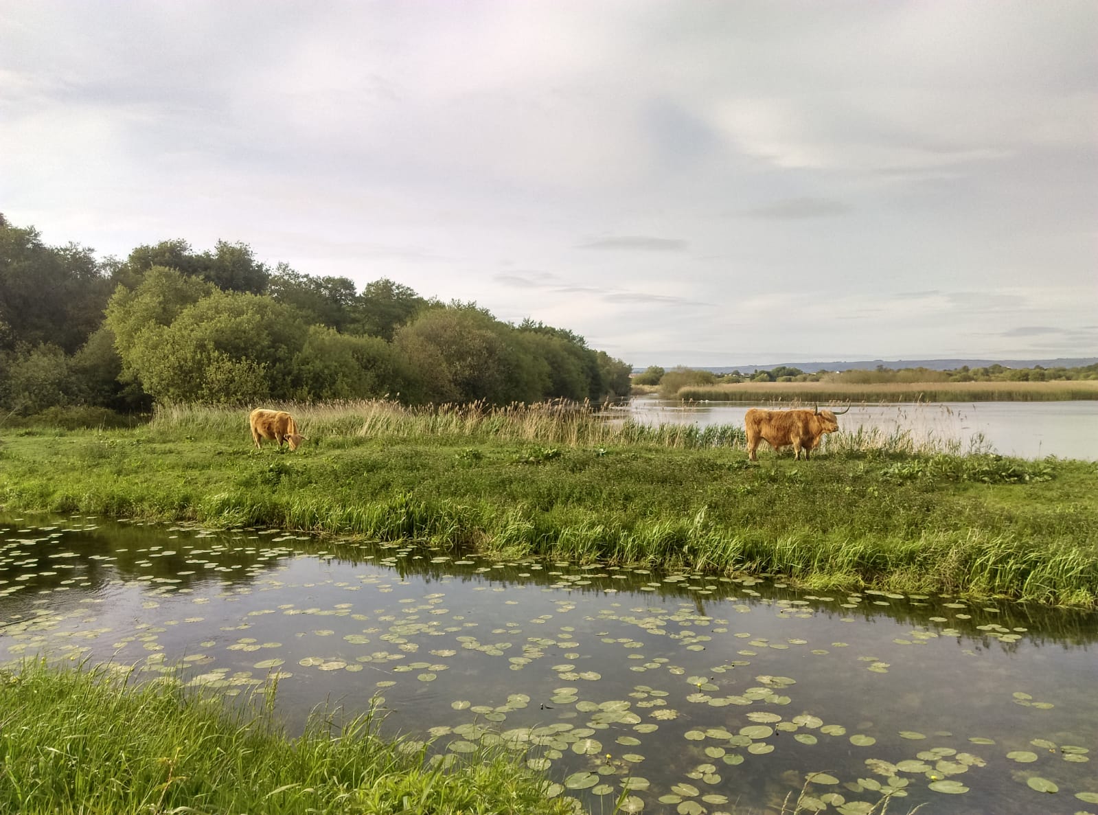 Somerset Health Checks on Twitter "As it's BikeWeekUK this week, we