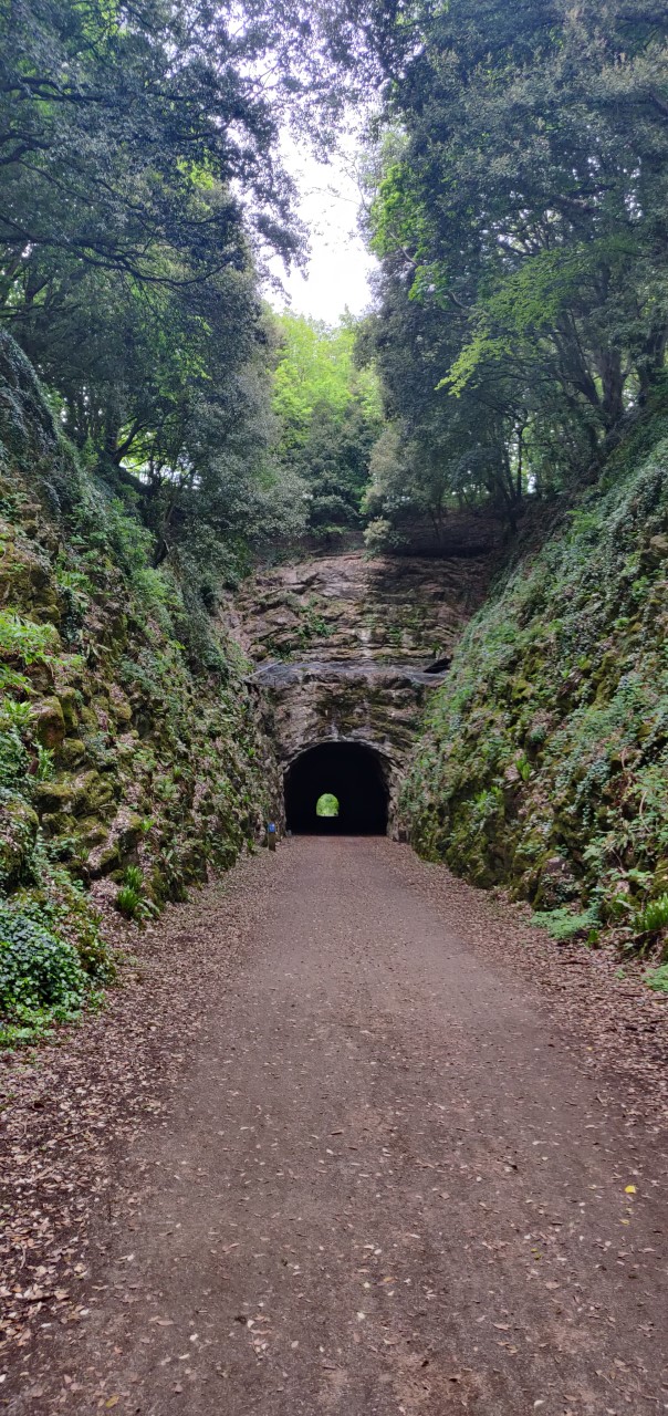 Somerset Health Checks on Twitter "As it's BikeWeekUK this week, we