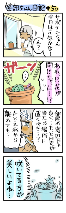 でも結局まだ窓辺に置いてある笹部ちゃん日記です 
