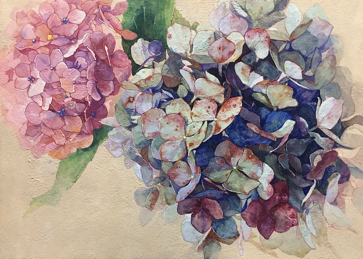 丸子 返事 さん V Twitter 紫陽花 にほん画 梅雨になりましたね 岩絵の具で塗るのがやっぱり一番楽しい いつか版権イラストを岩絵の具で描きたい T Co 8cpewfefgl Twitter