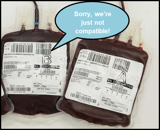 LabMedicineMFT's tweet photo. Looking for love in the laboratory? Not found your type yet? Try working in Blood Transfusion, we’ve got a (cross) match for you! #BiomedicalScienceDay2020 #AtTheHeartOfHealthcare https://t.co/tFBeolr2da