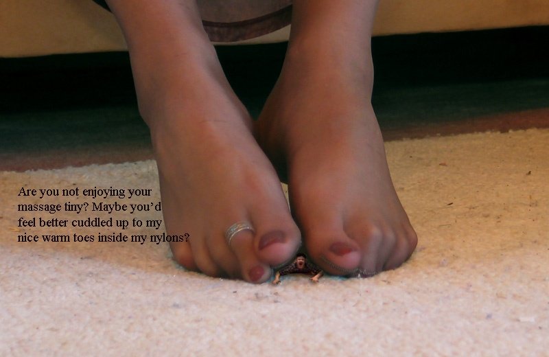 Mikeonlytiny's tweet photo. Trawling through old stuff again! Circa 2005. Seems the fantasy hasn't changed much for me since then π
#SizeTwitter #giantess #nylonfeet #insideisbetter https://t.co/kxC91aIhzm