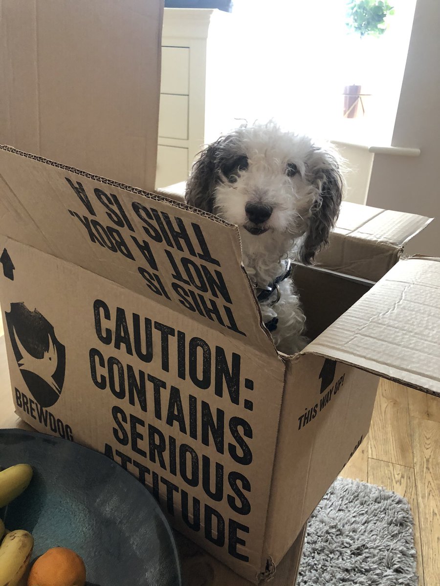 mike_bourlet's tweet photo. @BrewDog cheers for the delivery! Lovey stuff #brewdog https://t.co/T49eITXm2R