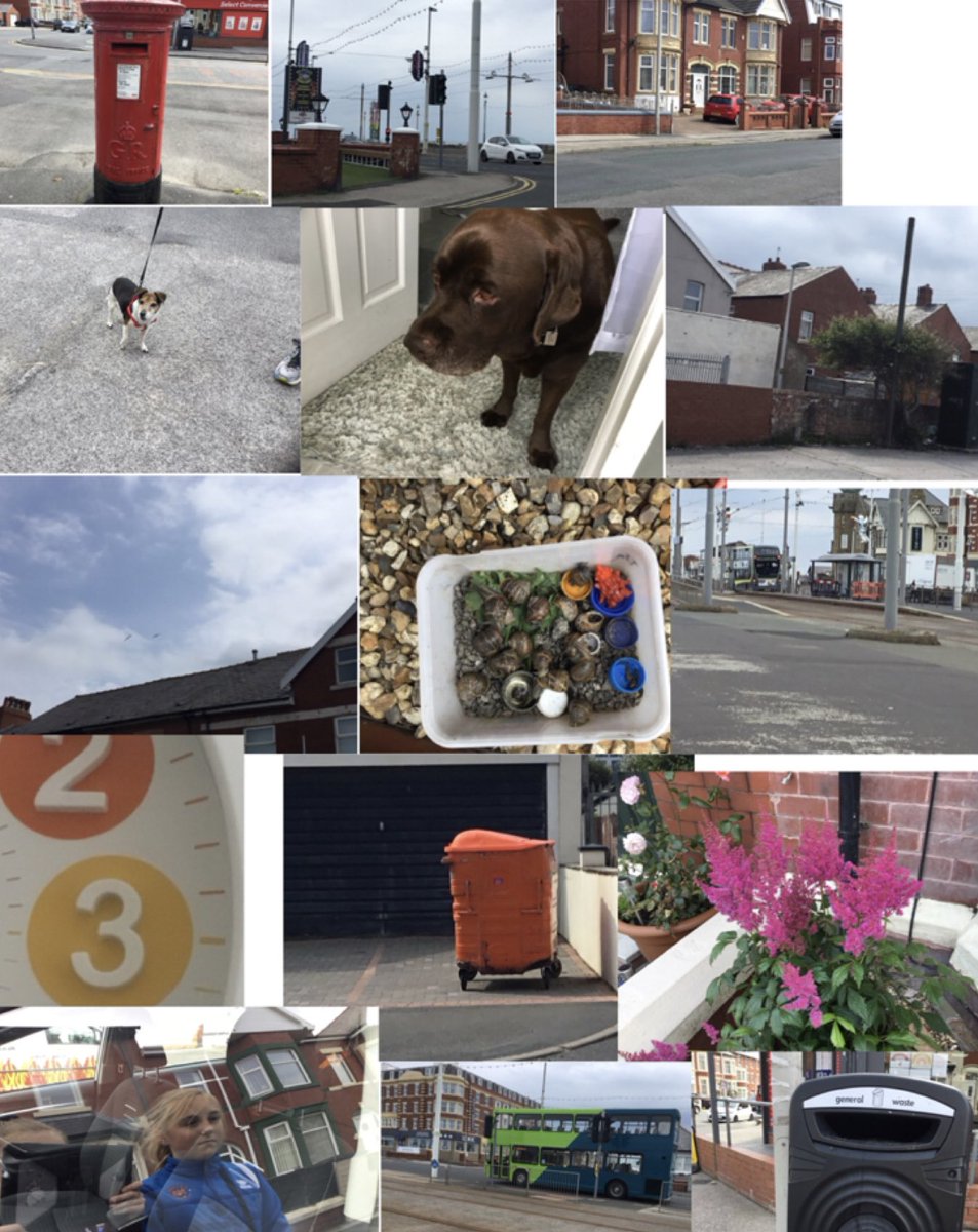 Sophie McDowell (@mrssmcd) on Twitter photo A brilliant photo treasure hunt from Tia in 5N. Well done Tia. It is so lovely to see you and your sister working as a team this week too. 🌟 <a href="/AliceNutt1/">Alice Nutt</a> <a href="/Layton_Year5/">Layton_Year5</a> #creativeweek A brilliant photo treasure hunt from Tia in 5N. Well done Tia. It is so lovely to see you and your sister working as a team this week too. 🌟 <a href="/AliceNutt1/">Alice Nutt</a> <a href="/Layton_Year5/">Layton_Year5</a> #creativeweek