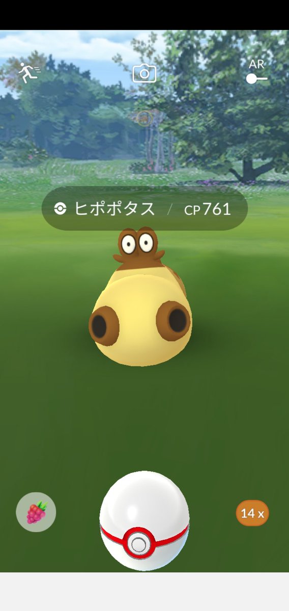 Amazinghisa No Twitter 今日のポケモンgo活動 朝活でアチャモ 夜活でカイロスの色違いと遭遇 ノ 色違いの総数が400越えました レイドはヒポポタス に初挑戦 ポケモンgo アチャモ カイロス 色違い ヒポポタス