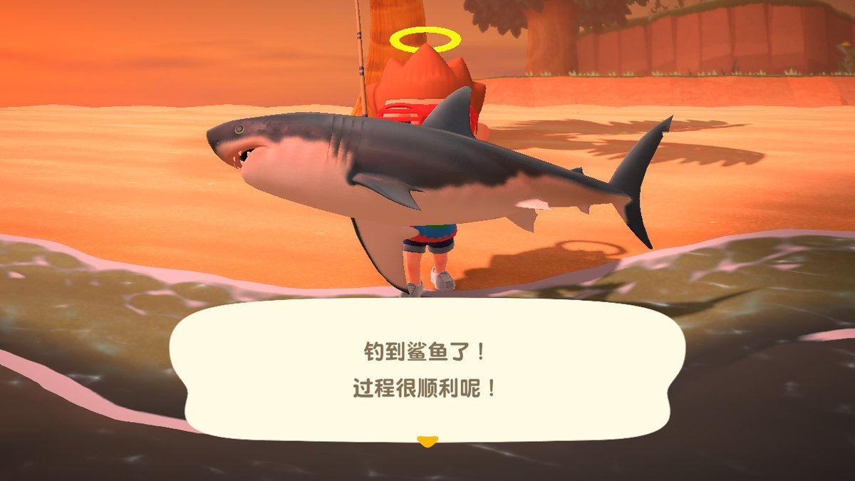 Wilson_SZR's tweet photo. #动物森友会 #AnimalCrossing #ACNH #NintendoSwitch https://t.co/vdiM2mwy1U
