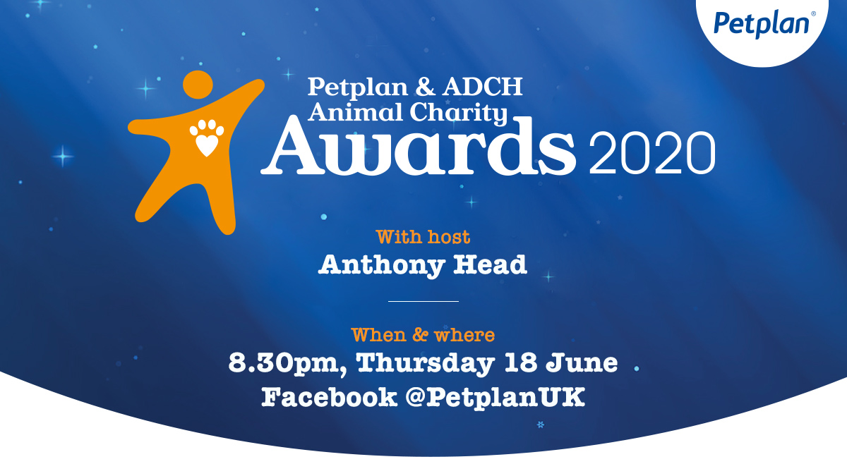PetplanEquine's tweet photo. Join us for the 2020 #AnimalCharityAwards 🎉 Celebrate with us and say thank you to the amazing teams and individuals who go the extra mile to help animals in need. Host Anthony Head will be announcing the winners on Thursday 18 June - we look forward to seeing you there! https://t.co/cf7BVreiHX