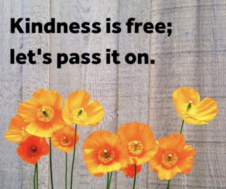 Mike Lucas tweet media