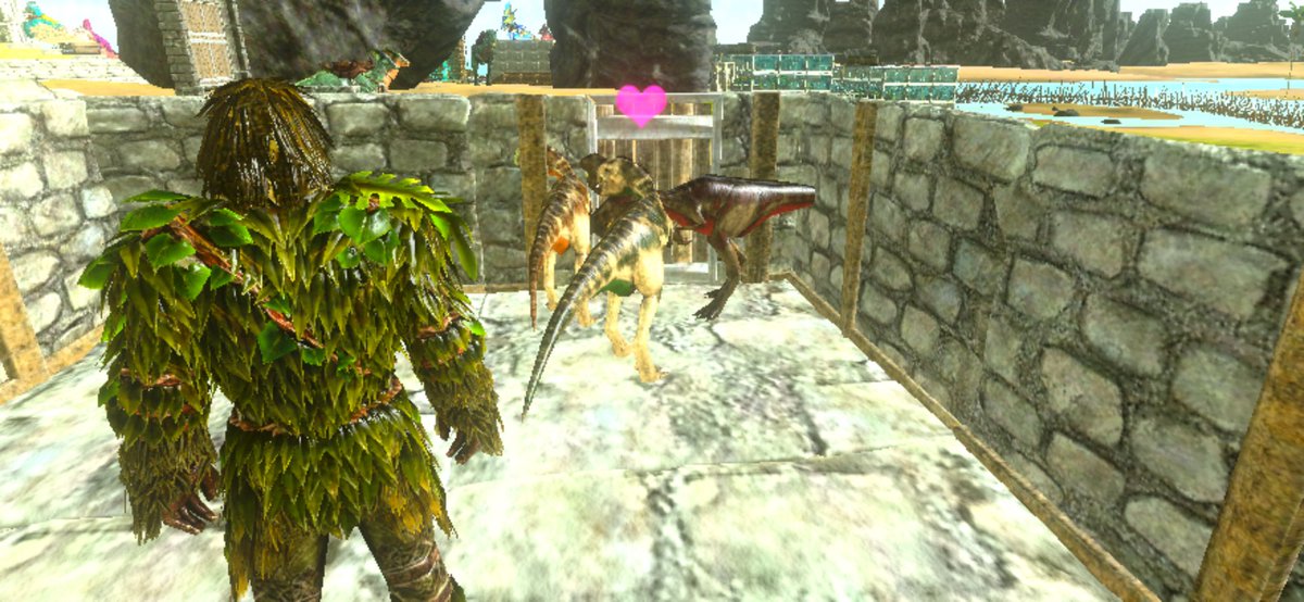 黄金猿 Rx7 7155 Twitter