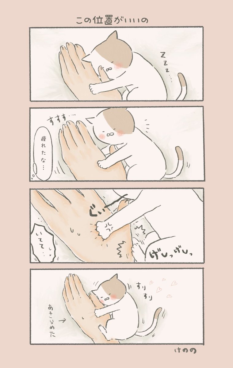 猫ちゃんのほっこり日常4コマを描いています✍?猫好きさんに届きますように…???
#6月になったので自己紹介 