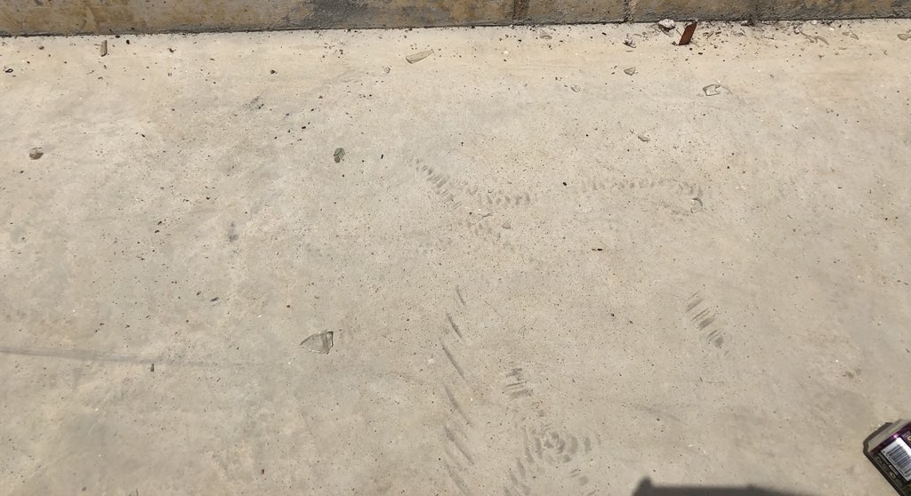 Mimacodina's tweet photo. Lamentable l’estat de les pistes aquest matí. No només per la brossa sinó també per la quantitat de vidres que hi ha... Un perill pels petits que hi van a jugar. Envio petita mostra @ajlagarriga https://t.co/6izvKwc3lW