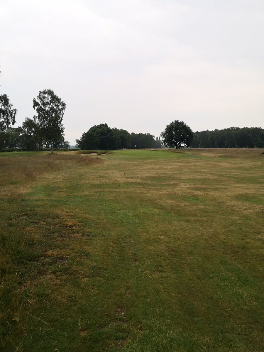 fulfordgolfclub's tweet photo. Yesterday evening our Pro Shop team challenged the Office to a golf match🏌🏼‍♂️After securing 13 birdies in the match, the pro shop team won comfortably 👏

The course is playing great @FulfordGreens 🙌 https://t.co/rHqkLBry66