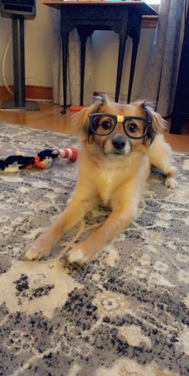 Sarah Snelling tweet media