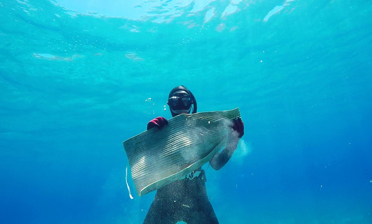 Dive_Amorgos's tweet photo. https://t.co/OnVKMBnutm 

#Amorgos #greece #WorldOceansDay #WorldOceansDay2020 #cyclades https://t.co/5PwksZarJ9