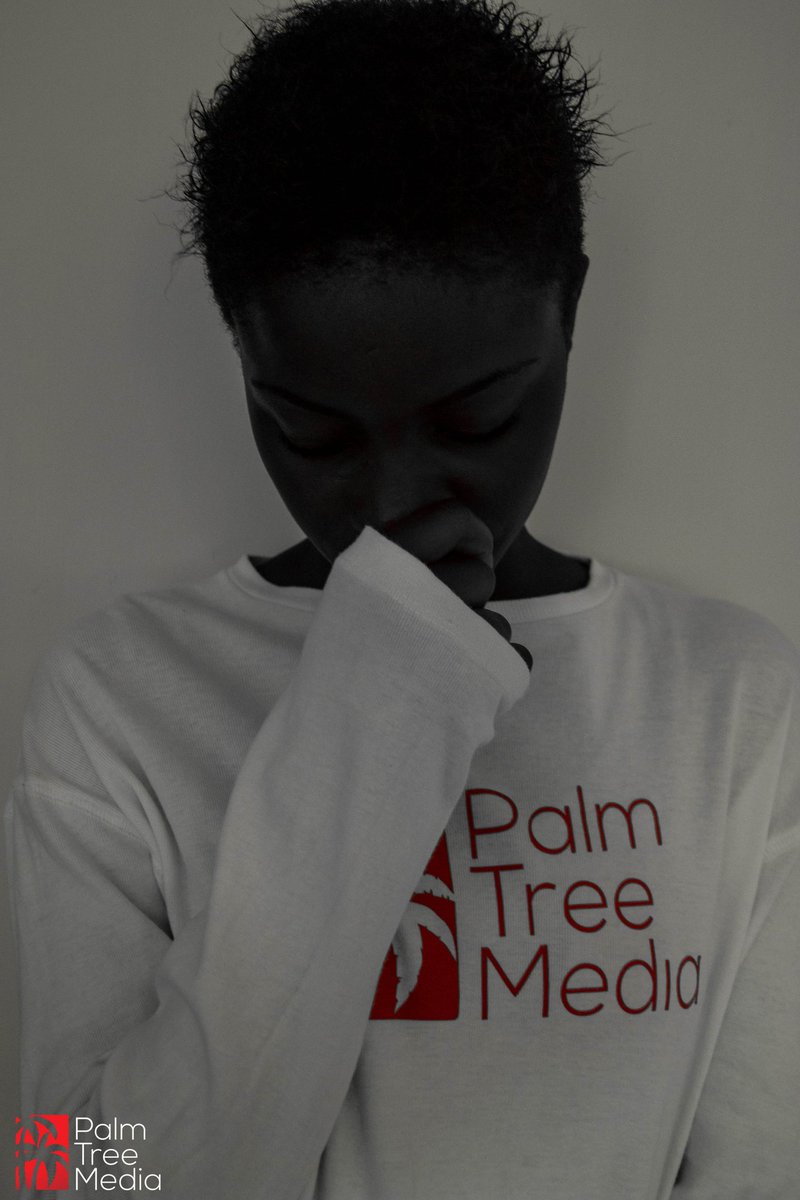 Palm Tree Media. tweet media