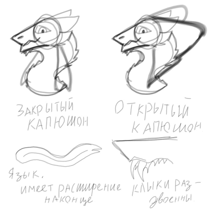 ThePalto tweet media