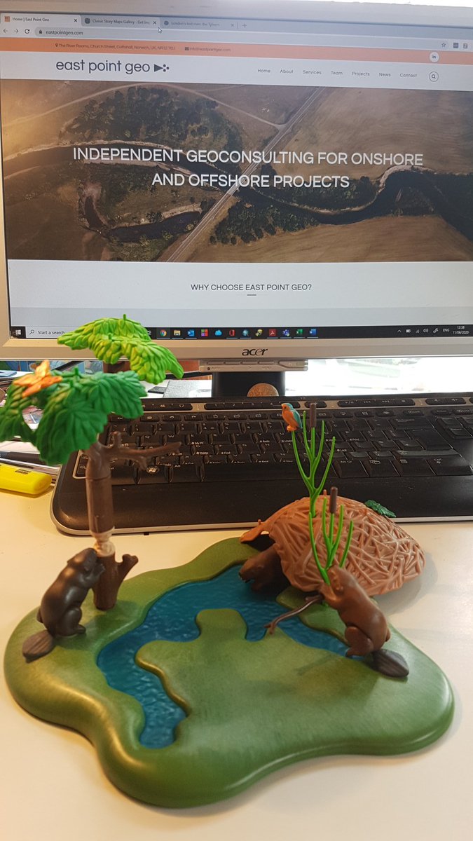 Happy_Mapper's tweet photo. To celebrate some good news I bought myself a present for my desk #Beavers #NaturalEngineers #NFM I'm sure @jonahtosney @MattButcherEA @GlavenEel @HelsBelsGeorge @TrevBondEA @The_RRC @theriverstrust @RiversTrustBB @gow_derek @KatyAppletonUEA @carlsayerUCL will appreciate it https://t.co/X9XAIBkwxn
