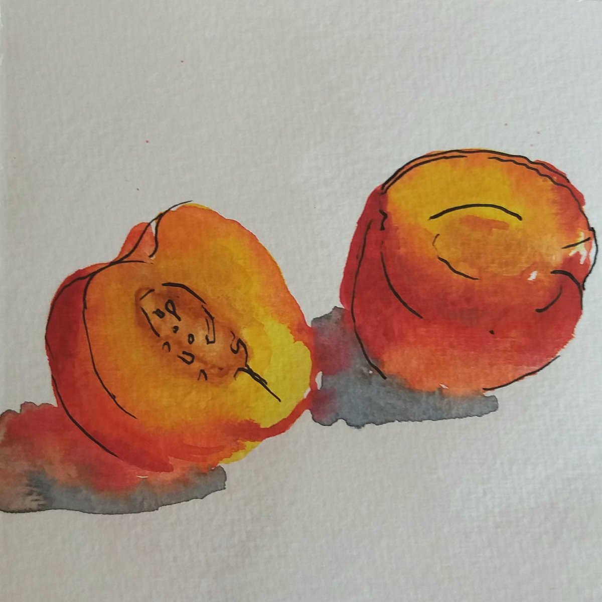 Nectarine. About to eat it .... the anticipation ....! #nectarine #lovefruit #fiveaday #watercolour #watercolor #watercolours #sketchbook #sketch #inkandwatercolour #watercoloursketch #watercolourart #watercolourdaily #thedailysketch #sketchbookhabit #makearteveryday