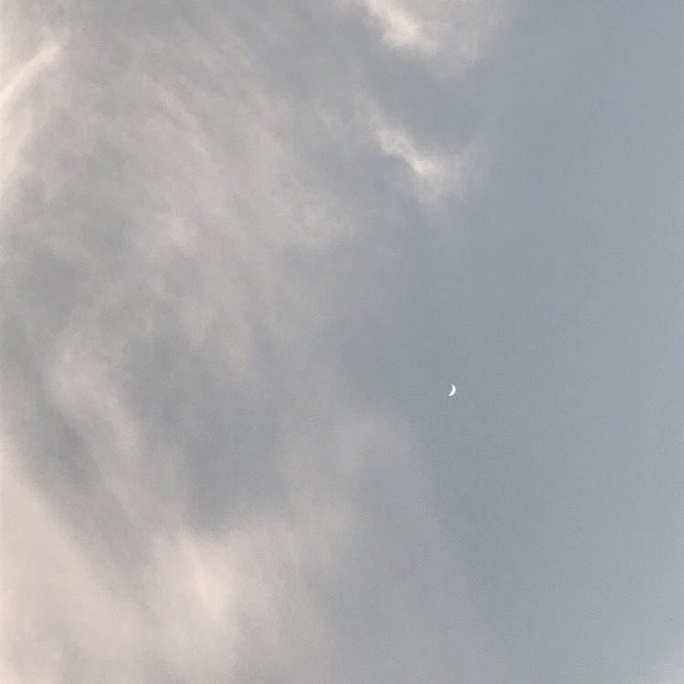 可愛い色の空みたら
いつも写真におさめてまう😹( 笑 )