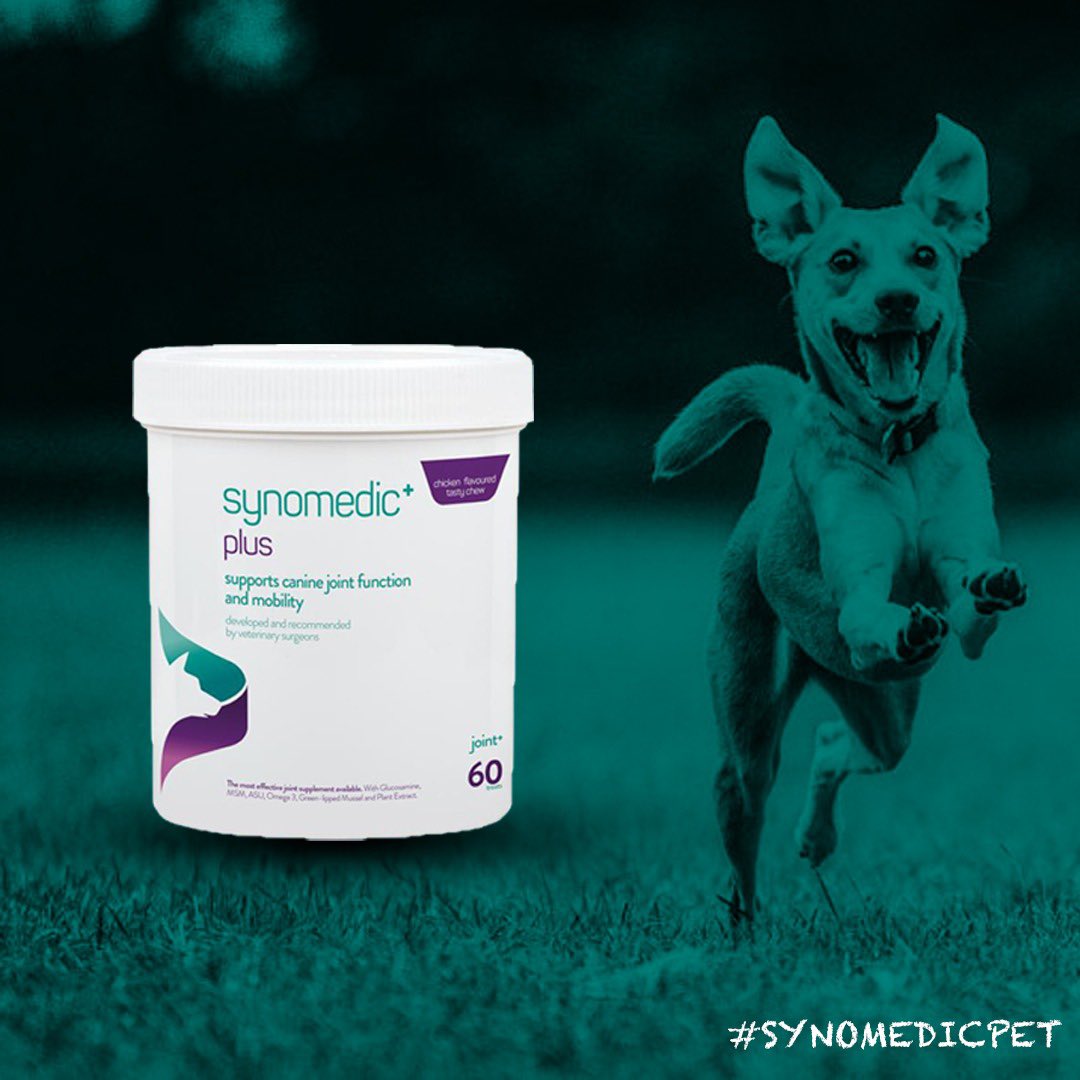 Support their growing joints, aid development and mobility with synomedic+ plus 🐶 #EQ #SynomedicPlus #EQMedic #Dog #Pet