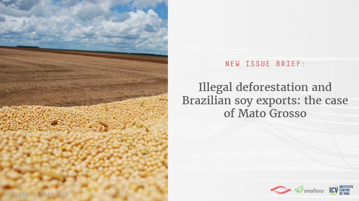 Our new Issue Brief with <a href="/Imaflora/">Imaflora</a> &amp; @icvcentrodevida estimates the amount of illegal deforestation that took place 2012-2017 on soy farms in Mato Grosso, Brazil, &amp; the global markets exposure to soy coming from these areas. Read it here ow.ly/klfv50A4TUk