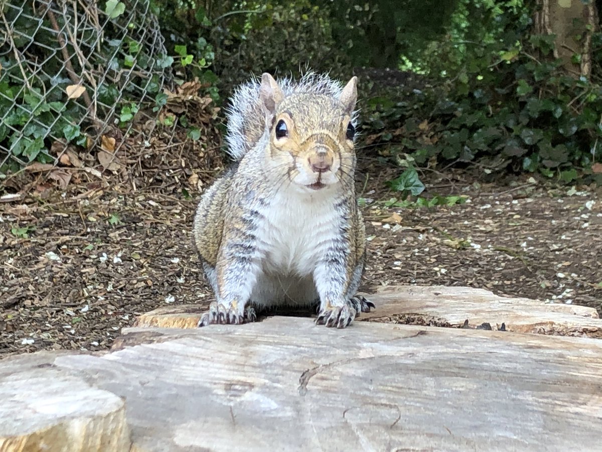 Derek Doyle tweet media