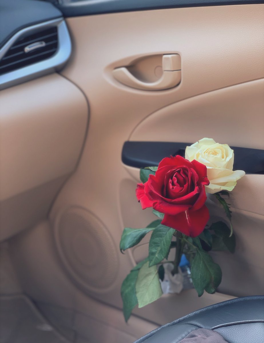 بتعرف شعور لما ، بتلتقي صدفه بحدا 😴🎼 #photography