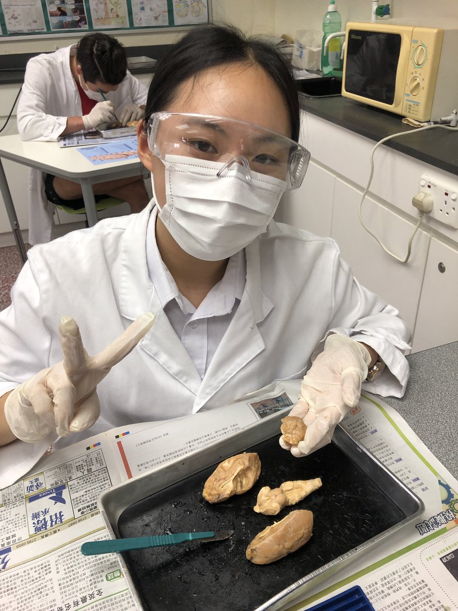 Brain dissection on the last day of AP Biology class, why not?🤪 @aishongkong #redbrick125