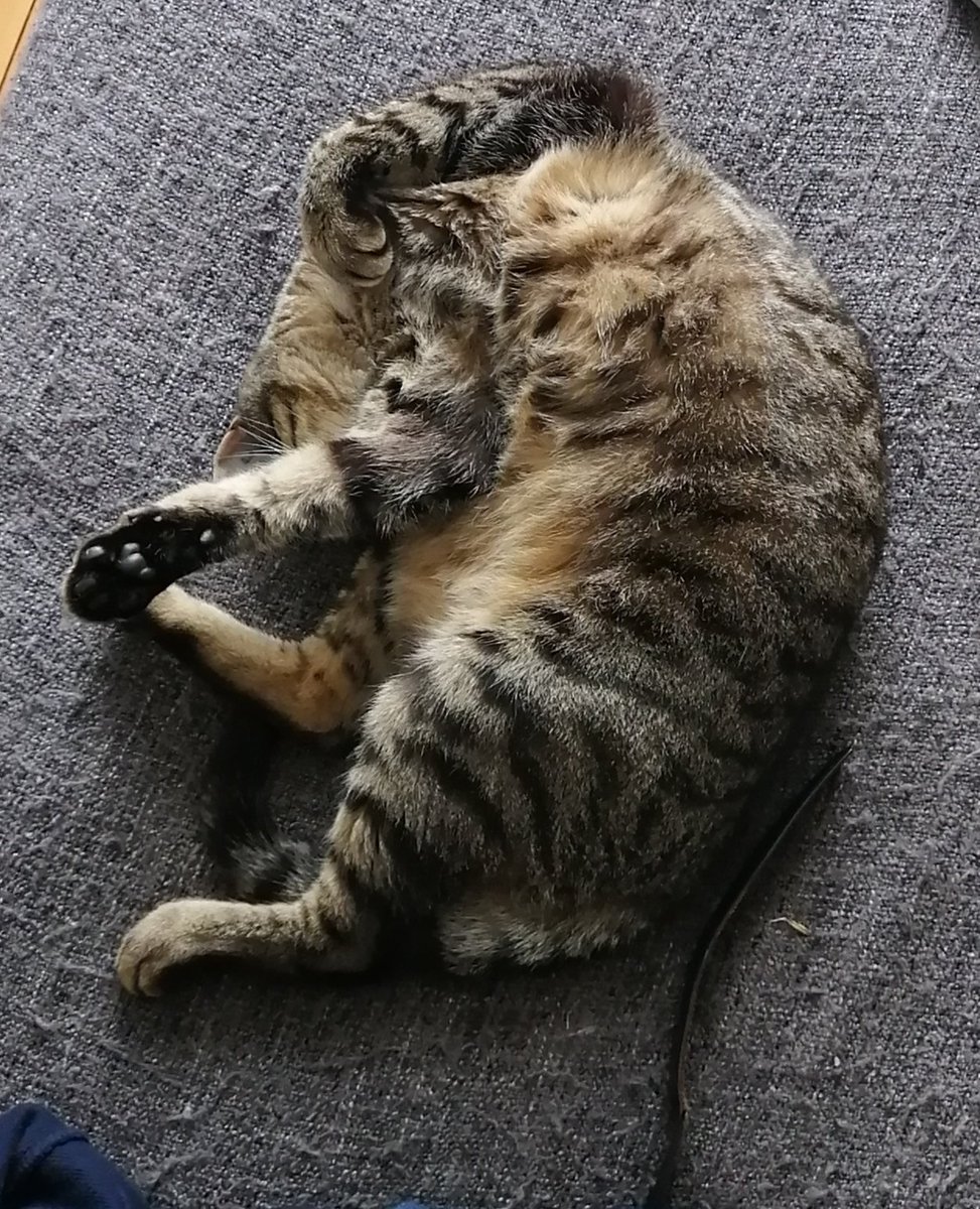 stephaneisnard tweet media