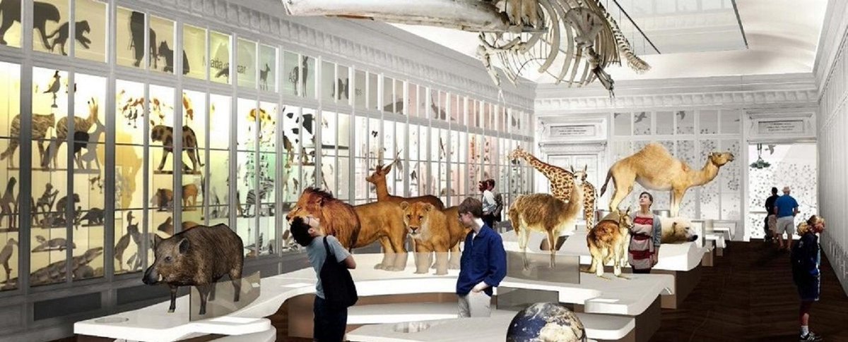 EscapeHuntBordeaux tweet media