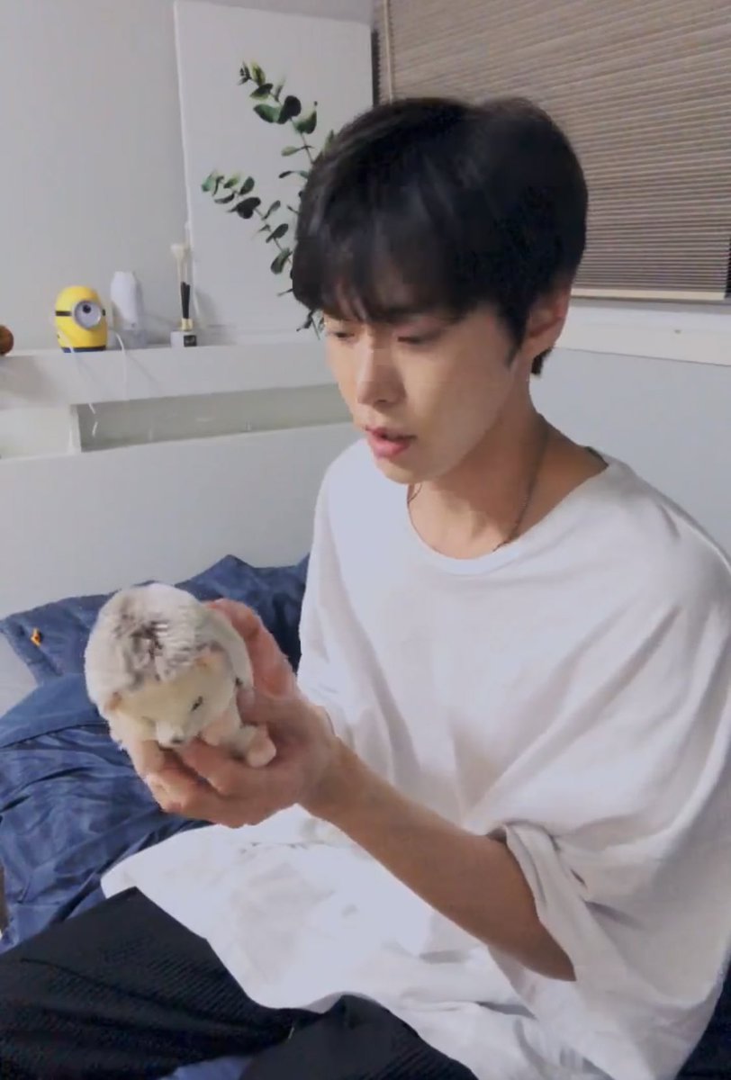 น่ารักว่ะ คิมบอกตุ๊กตาอันนี้อยู่กับคิมมา 5 ปีแล้ว คิมเอาน้องมาทักทาย มีพากย์ให้ด้วยบอกผมชื่อโดชีครับ ละบอกน้องเม่น(โกซึมโดชี) 5 ขวบแล้วครับ เอ็นดูอะ!55555555555555555