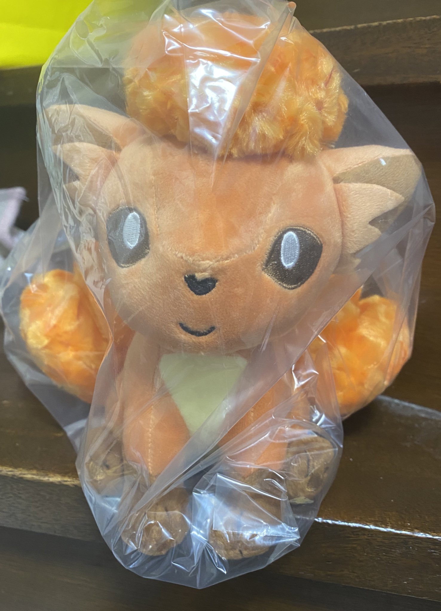 ねことら ロコンのぬいぐるみオルゴール届いた 本当はいつか北海道で買うつもりだったんだけど アローラロコン が販売終了になったので慌てて購入 家にいるシロンと並べて可愛がるぞ にしても ここのぬいぐるみは顔面偏差値が高いw T Co