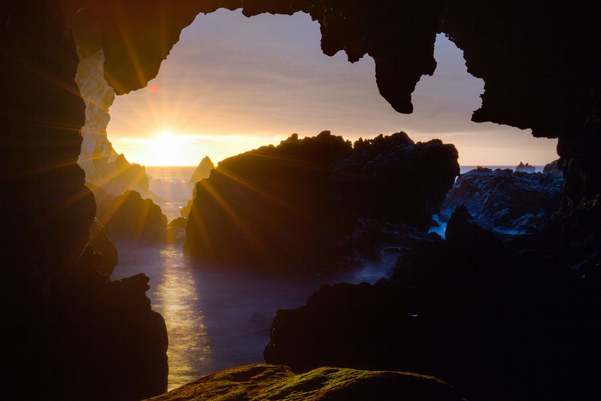 Grootbos's tweet photo. “The darkest hour is just before dawn” - Thomas Fuller

In these challenging times in the world, we appreciate the small things in life.

What are you most grateful for?

#InspireTheFuture #StayInspired #NatureNeverStops #GrootbosMagic #DreamNowTravelLater https://t.co/S8PdRlkWnL