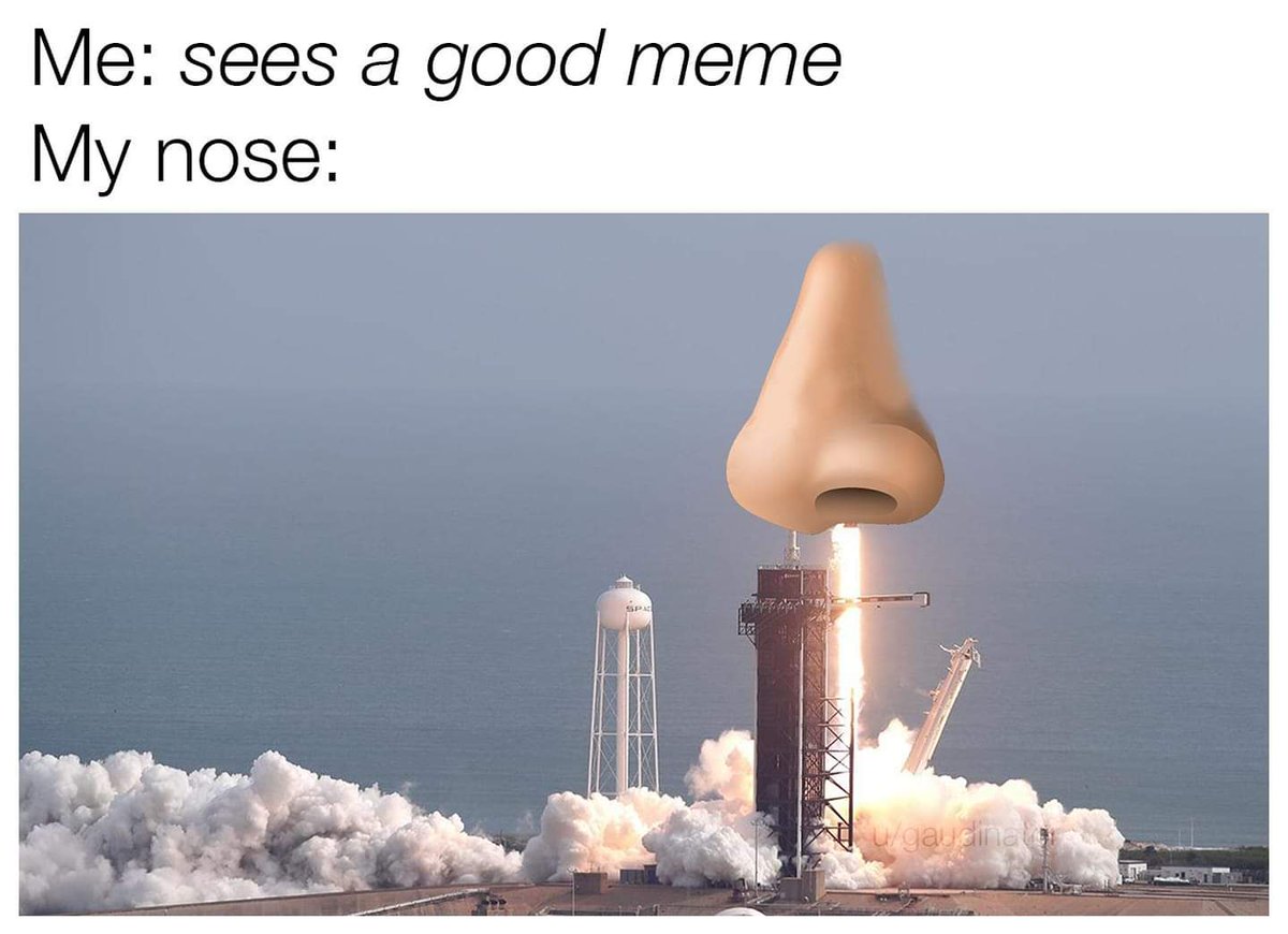 DankMemesClub's tweet image. 