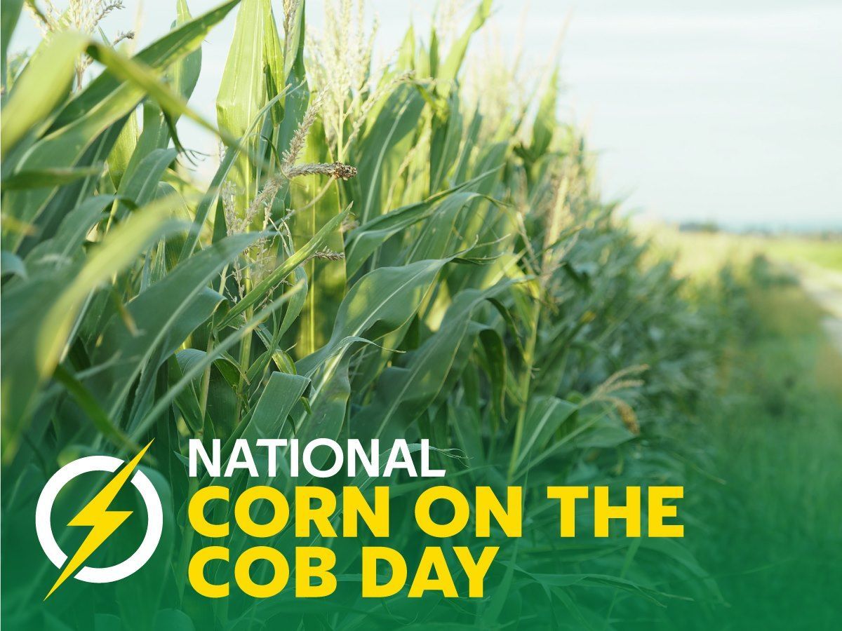 PowerfieldsTwit's tweet image. How are you celebrating?
#Powerfields