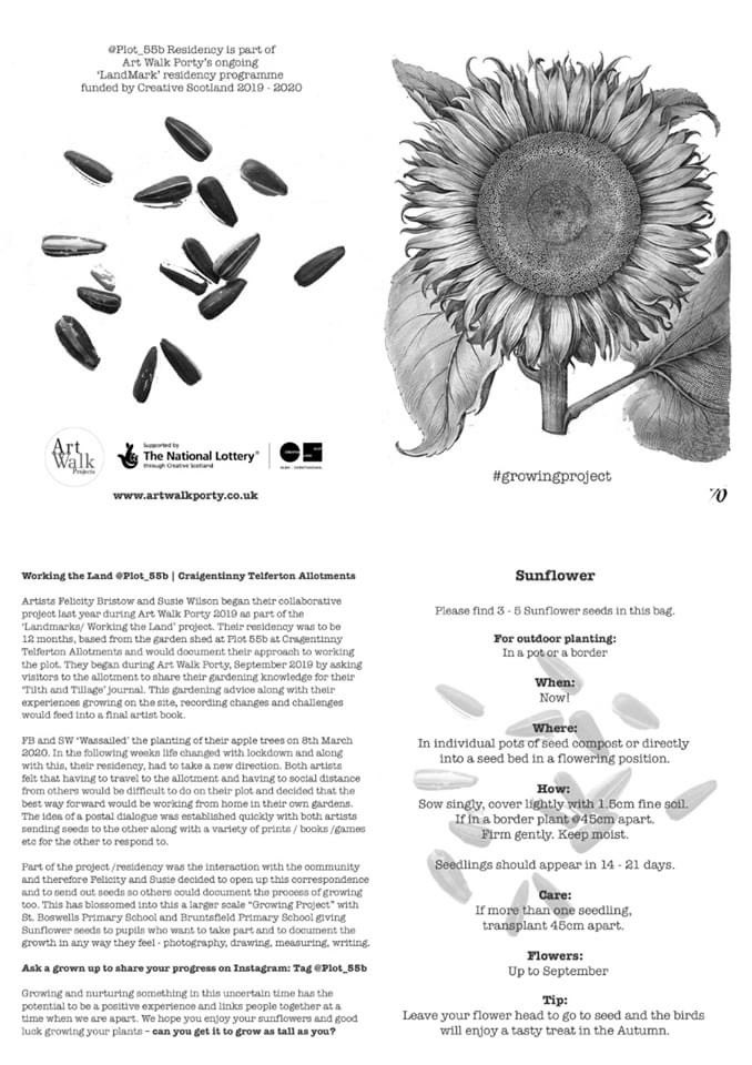 StBoswellsPS's tweet photo. St Boswells Primary School Sunflower Growing Project! Sunflower seeds are available for all families who wish to take part. Seeds will be available to collect in the old Post Office from Monday 15th June. A great family project for the summer months. #StBoswellsInspires https://t.co/equjPCehIZ