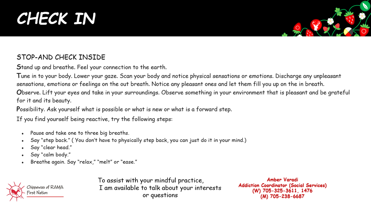 Chippewas of Rama tweet media