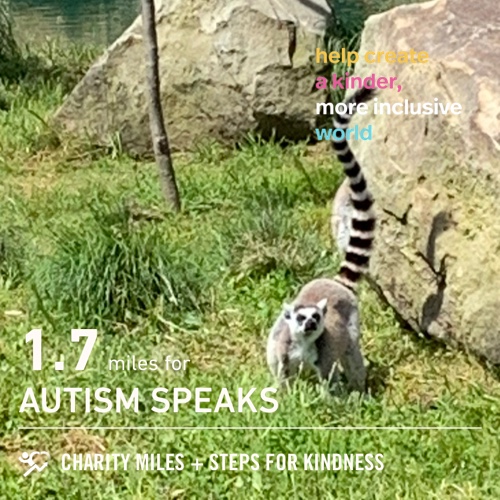CaseysMommy0305's tweet photo. 1.7 @CharityMiles for @autismspeaks. #StepsForKindness https://t.co/tjxFJfTyd1