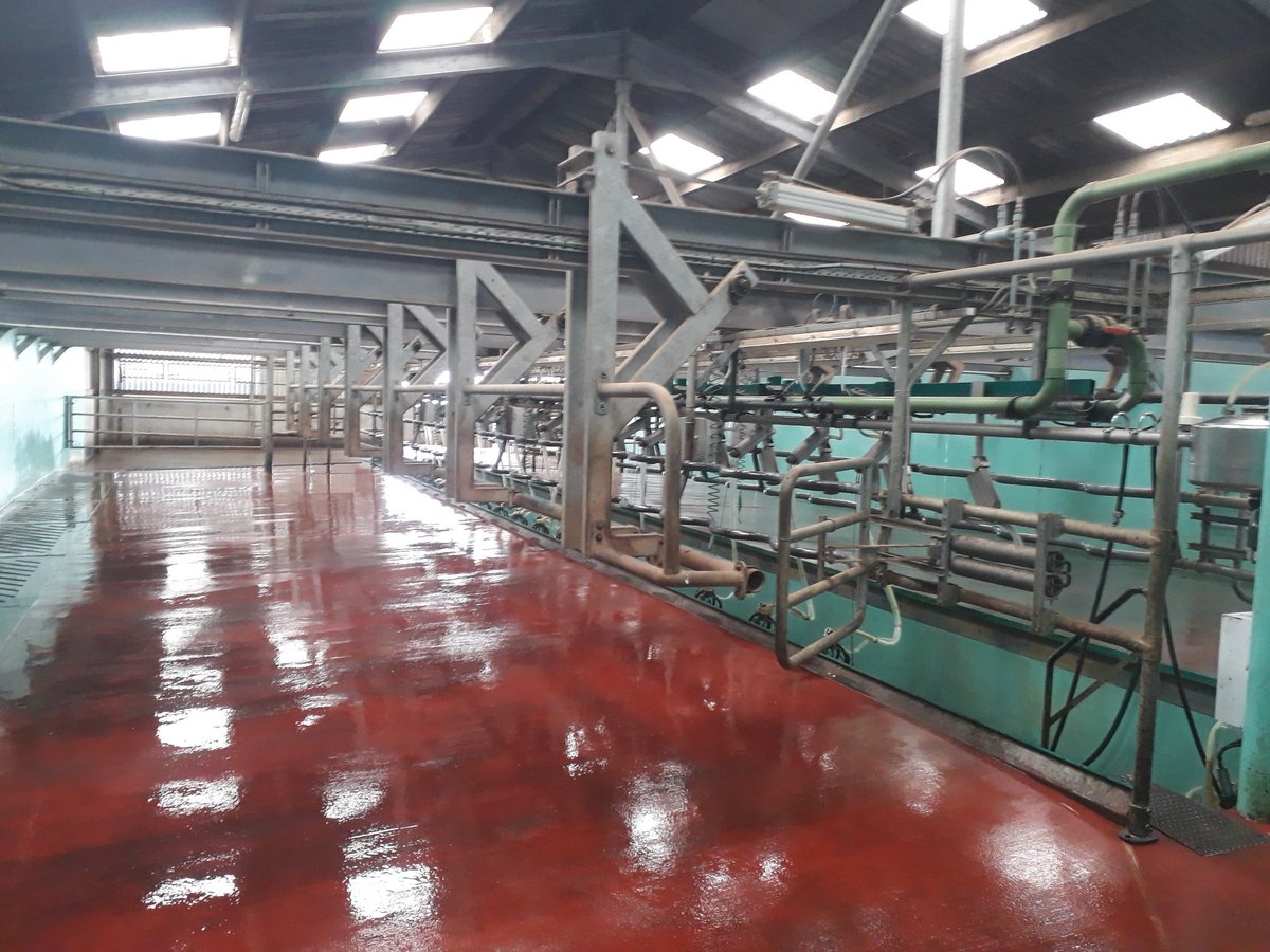 Milking parlour got a spring clean today. #loveacleanparlour
